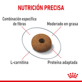FCN APPETITE CONTROL - CROQUETA